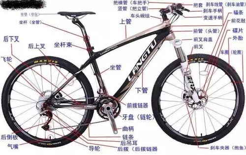 騎行零基礎班招募 兩小時點亮終身技能，學費全返助力成長